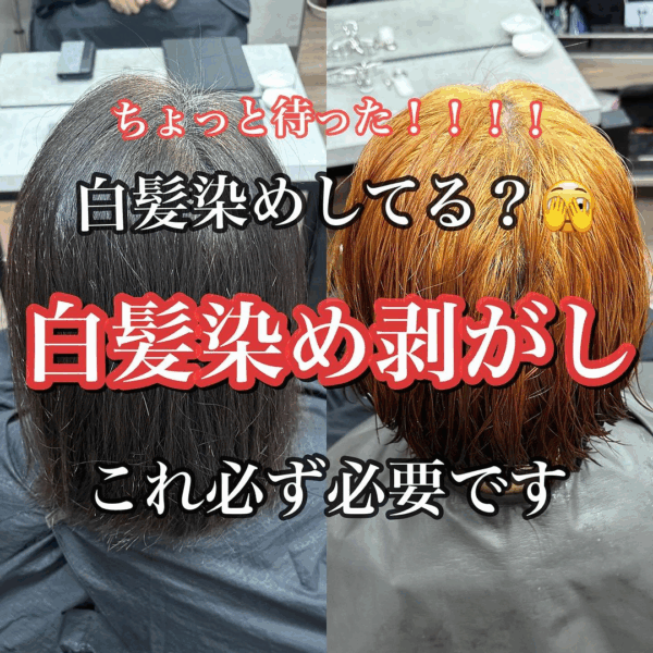 白髪ぼかしカラー_完全解説集 - 画像 (2)