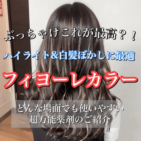 白髪ぼかしカラー_完全解説集 - 画像 (3)
