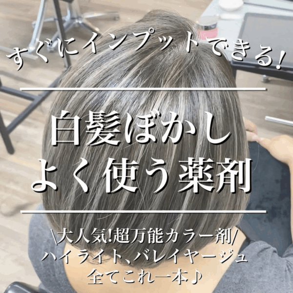 白髪ぼかしカラー_完全解説集