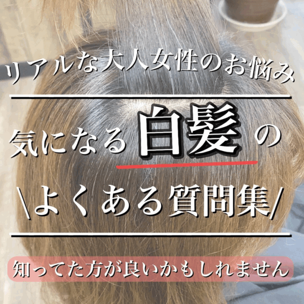 白髪ぼかしカラー_完全解説集 - 画像 (5)